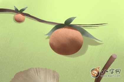 什幺样的八字财有根