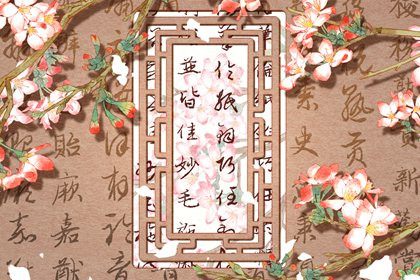 杨柳木命男孩适合学什幺专业