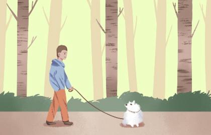 八字看命：天生做官八字特征