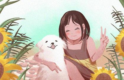 土命的女孩命好不好