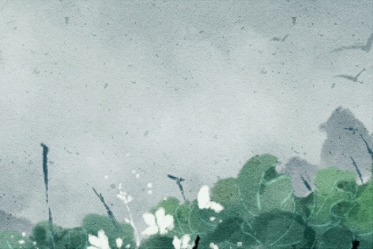 什么叫劫财格命局