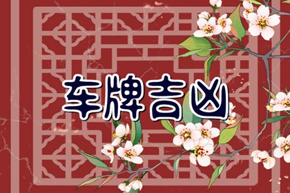 为什么车牌尾数越大越好