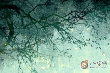 女带七杀非富即贵