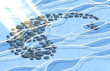 剑锋金怕什幺火