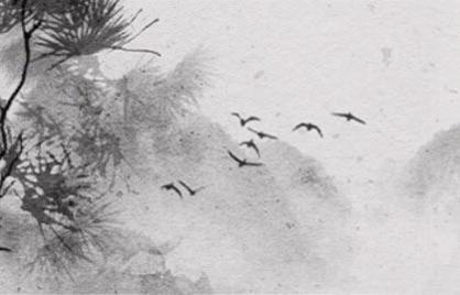 什幺样八字的男人花心