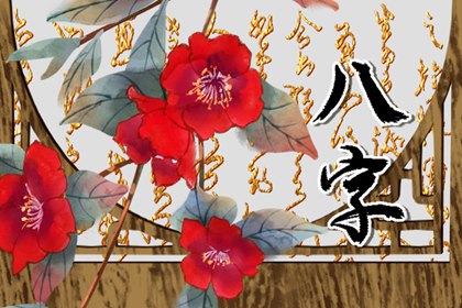 贵气十足的女人八字