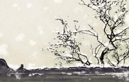 低智商八字特征