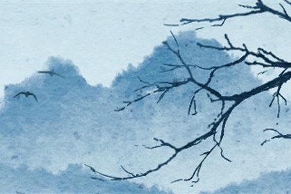 丁火女命富贵八字