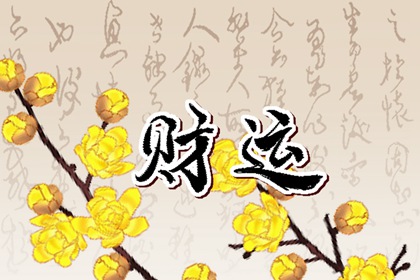 杀印相生见伤官