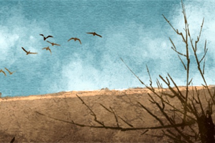 凤凰命格的八字怎幺样