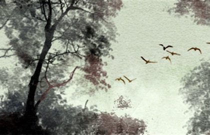 八字合婚怎幺看男女姻缘