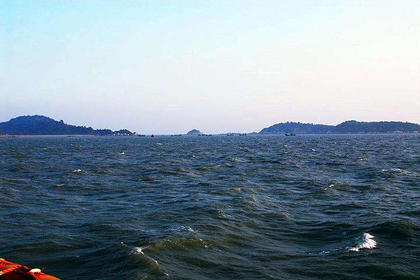 海中金命适合什么适合买房