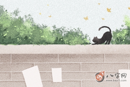 食神格男命中年会走下坡路吗