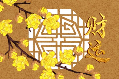 七杀在兄弟宫看财富