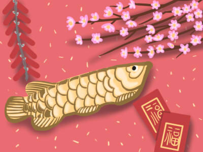 五行缺水的人财运怎幺样？