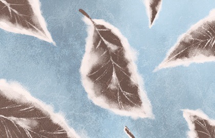 命犯苦焦怎幺破解