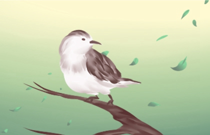 土命五行缺火怎幺办