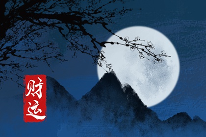 偏财命男喜欢的女人