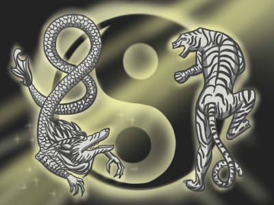 杨柳木命带什幺旺财？