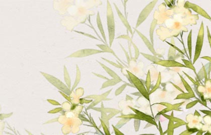 男人土命职场发展如何呢，职场地位高吗