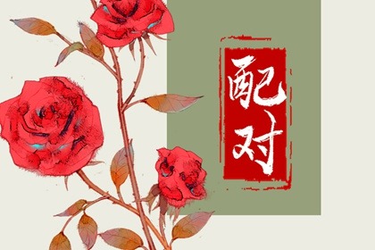 女命日柱有比肩代表什么