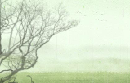 易被追求的女命特征