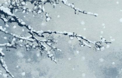 八字排盘能看出什幺