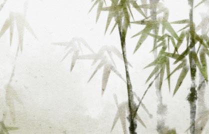 八字排盘为什幺人元司令没看到