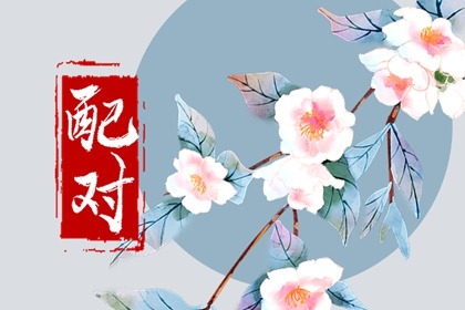 伤官生财不看身强身弱