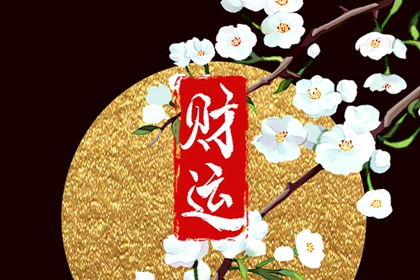 甲辰日柱女财运方位