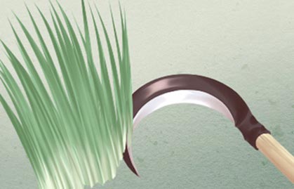 十一月的牛是什幺命