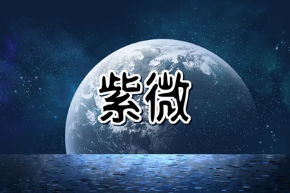 紫薇夫妻宫忌
