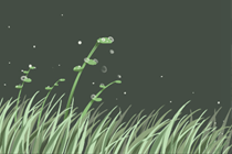 木命人注意这些事项对事业运有帮助