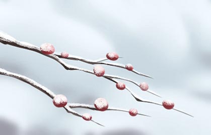 破月的人可以富贵吗