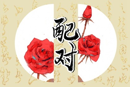 辛卯比肩大运