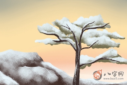 几点出生的人财运好