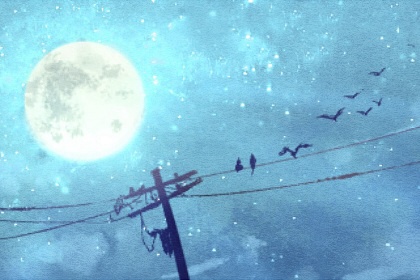 壬戌日柱女命精论