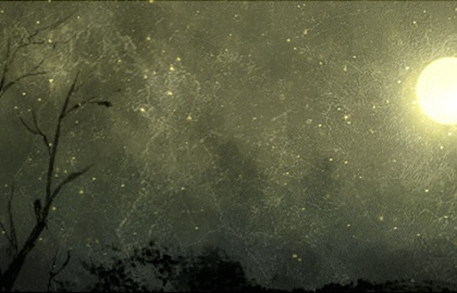 从八字看老婆是否漂亮,日支逢子午卯酉