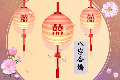乙木命的女人官运