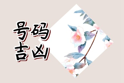 七杀格劫财格女命