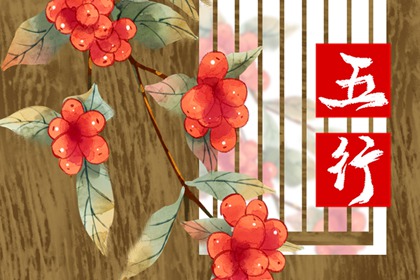 适合木命的字