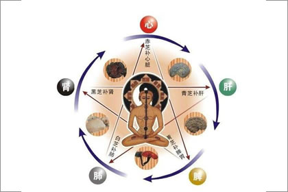 海中金命的人最适合什幺样的伴侣