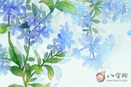 缺木的人戴什幺最旺木