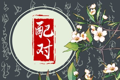 食伤生财的女人有口福