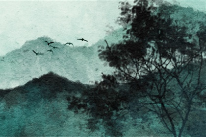 八字官星落空桃花带合