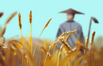 命犯苦焦的严重吗