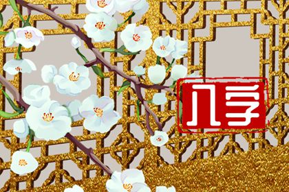 什么八字是富贵命