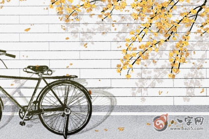 偏财格女命适合找什幺样的配偶