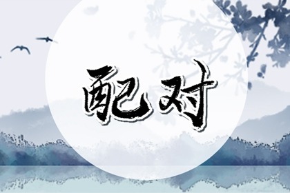 身强食伤生财的女人