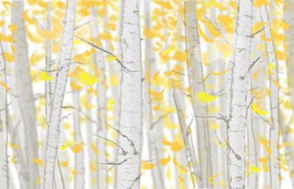 八字建禄格好不好